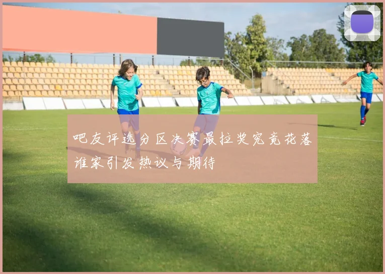 吧友评选分区决赛最拉奖究竟花落谁家引发热议与期待