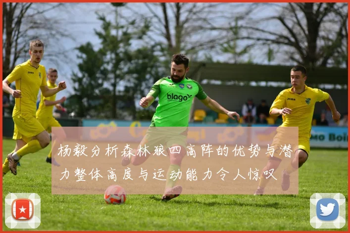 杨毅分析森林狼四高阵的优势与潜力整体高度与运动能力令人惊叹